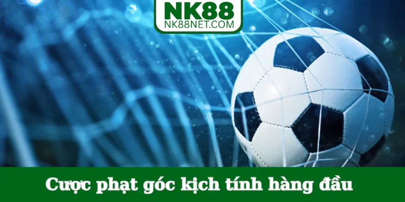 cuoc-phat-goc-kich-tinh-hang-dau