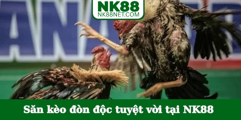 san-keo-don-doc-tuyet-voi-tai-nk88